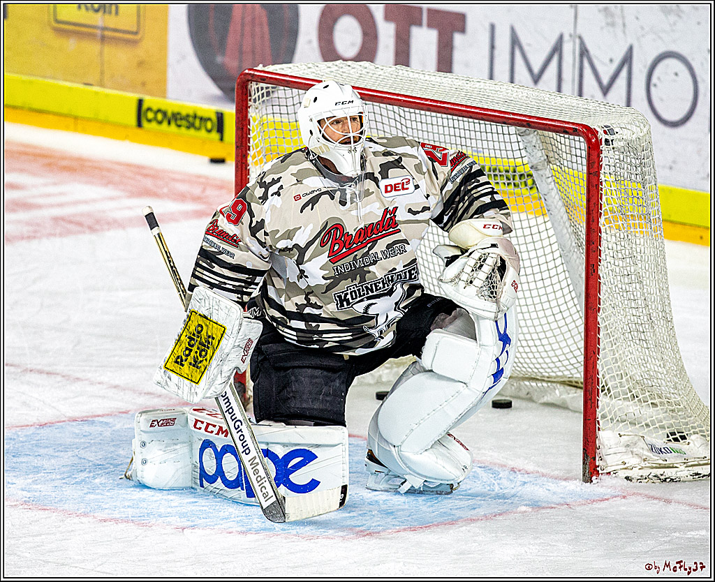DEL; Koelner Haie - Krefeld Pinuguine; Koeln, 24.11.2019